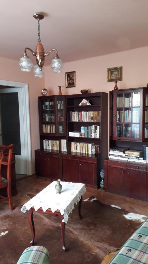 Cozy, Central 1-Bedroom Apartment In Timisoara, Romania Bagian luar foto