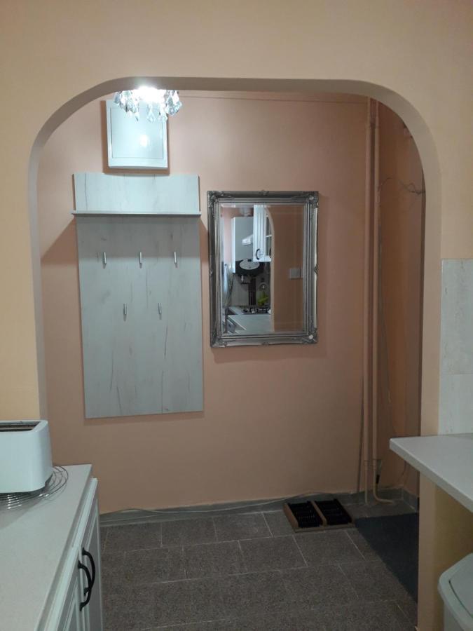 Cozy, Central 1-Bedroom Apartment In Timisoara, Romania Bagian luar foto
