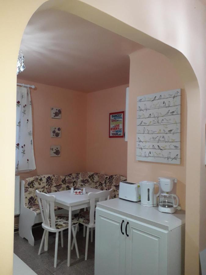 Cozy, Central 1-Bedroom Apartment In Timisoara, Romania Bagian luar foto