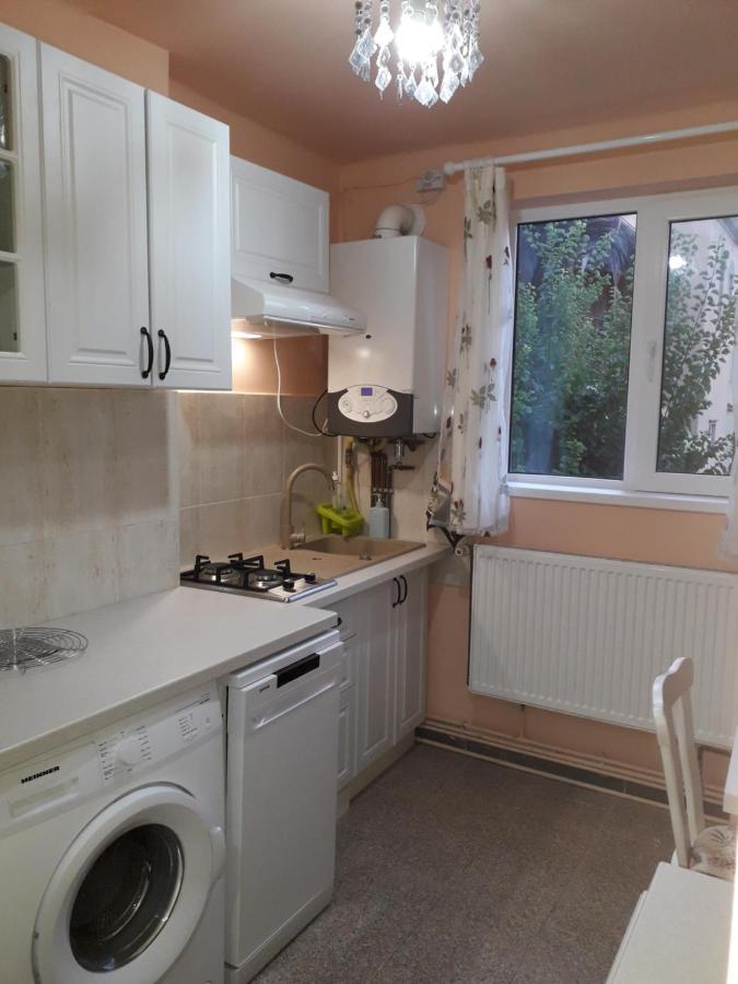 Cozy, Central 1-Bedroom Apartment In Timisoara, Romania Bagian luar foto