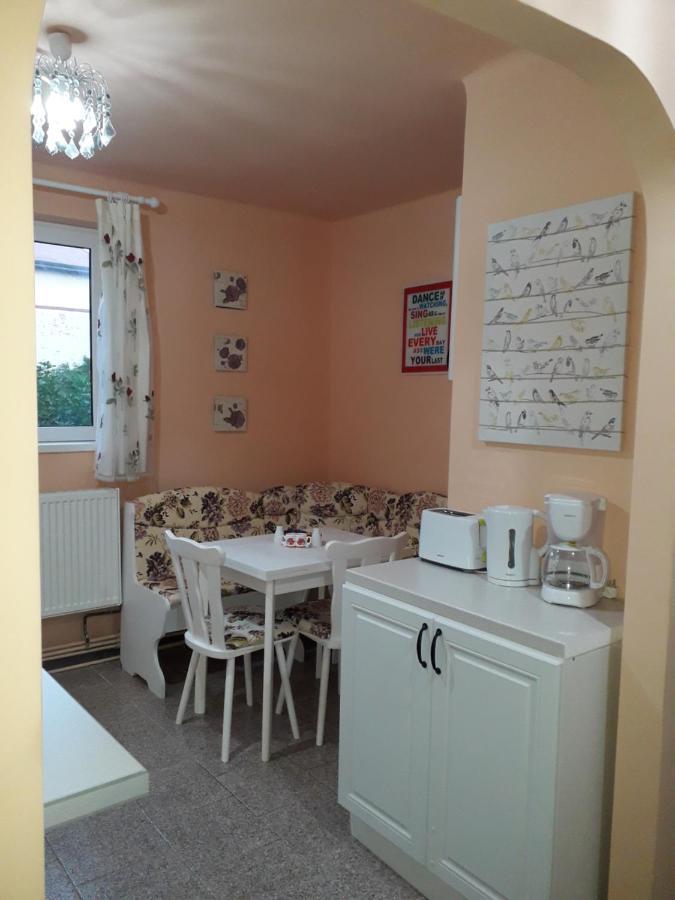 Cozy, Central 1-Bedroom Apartment In Timisoara, Romania Bagian luar foto