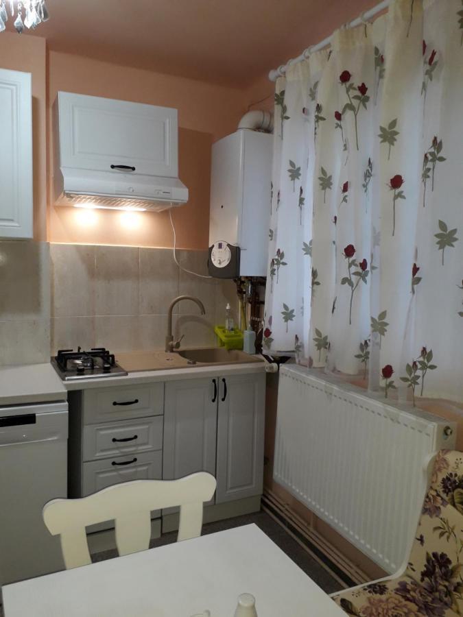 Cozy, Central 1-Bedroom Apartment In Timisoara, Romania Bagian luar foto