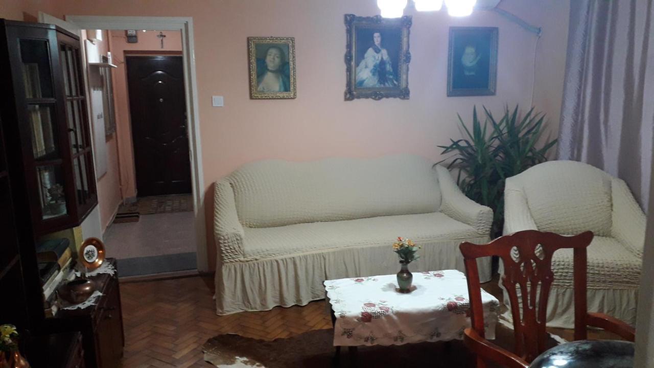 Cozy, Central 1-Bedroom Apartment In Timisoara, Romania Bagian luar foto
